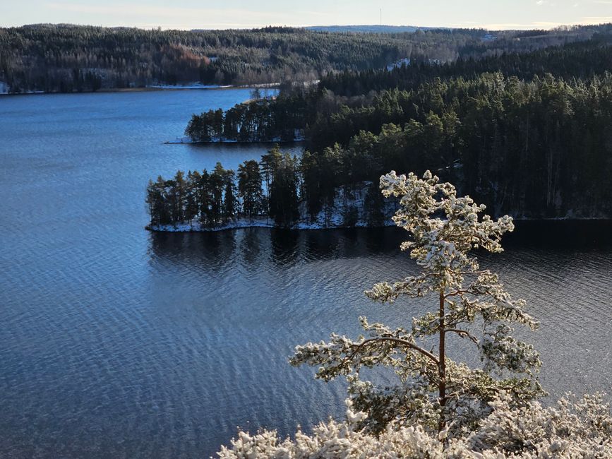 Serene winter landscape with snow-covered pine tree over a peaceful lake.